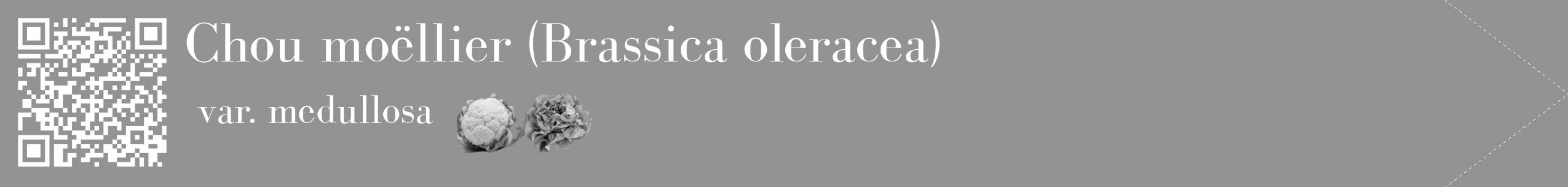 Étiquette de : Brassica oleracea var. medullosa - format c - style blanche44_simple_simplebod avec qrcode et comestibilité simplifiée