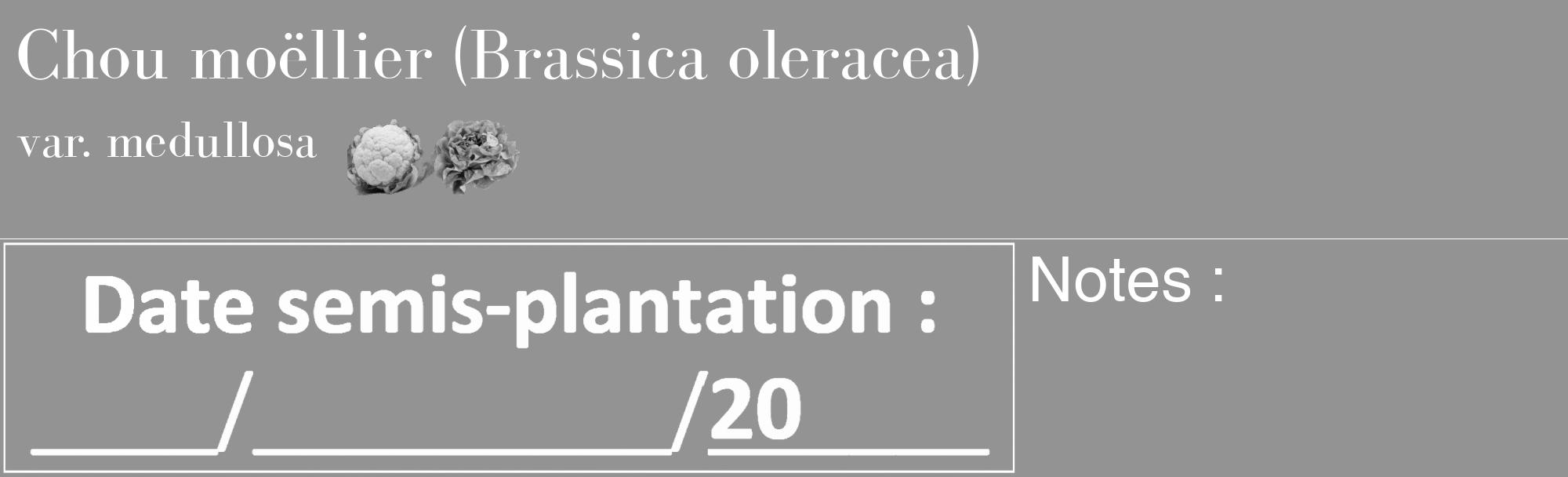 Étiquette de : Brassica oleracea var. medullosa - format c - style blanche44_basique_basiquebod avec comestibilité simplifiée