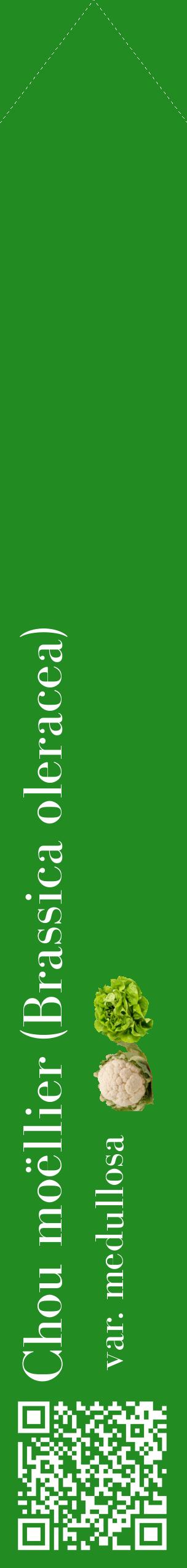 Étiquette de : Brassica oleracea var. medullosa - format c - style blanche10_simplebod avec qrcode et comestibilité simplifiée