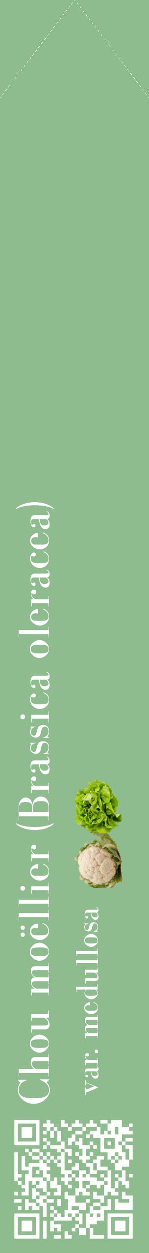 Étiquette de : Brassica oleracea var. medullosa - format c - style blanche13_simplebod avec qrcode et comestibilité simplifiée