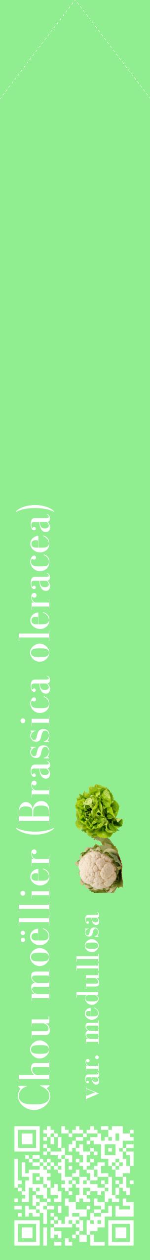 Étiquette de : Brassica oleracea var. medullosa - format c - style blanche15_simplebod avec qrcode et comestibilité simplifiée