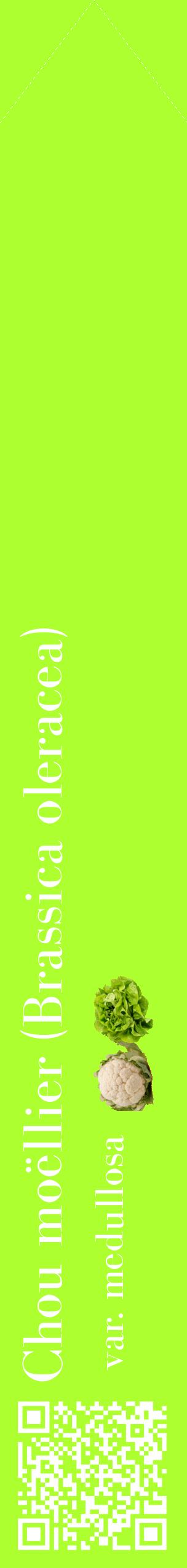 Étiquette de : Brassica oleracea var. medullosa - format c - style blanche17_simplebod avec qrcode et comestibilité simplifiée