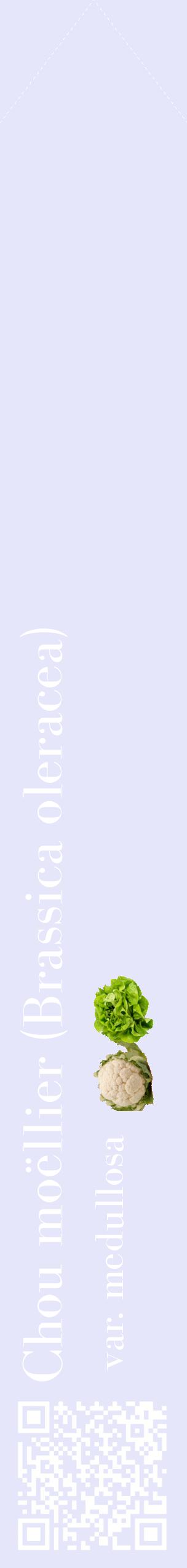 Étiquette de : Brassica oleracea var. medullosa - format c - style blanche55_simplebod avec qrcode et comestibilité simplifiée