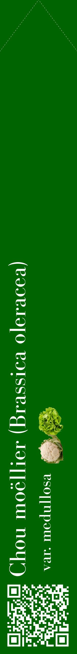 Étiquette de : Brassica oleracea var. medullosa - format c - style blanche8_simplebod avec qrcode et comestibilité simplifiée