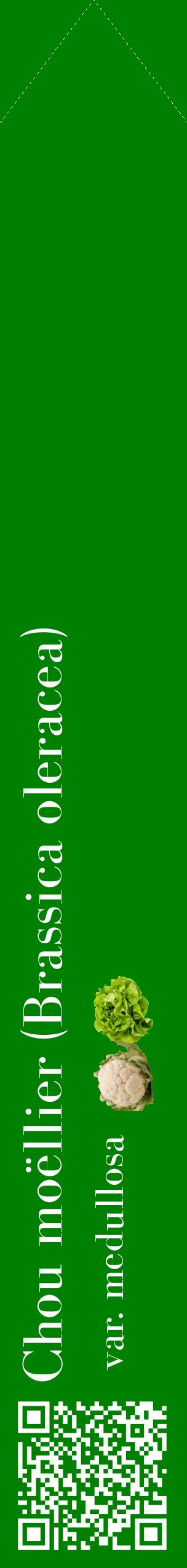Étiquette de : Brassica oleracea var. medullosa - format c - style blanche9_simplebod avec qrcode et comestibilité simplifiée