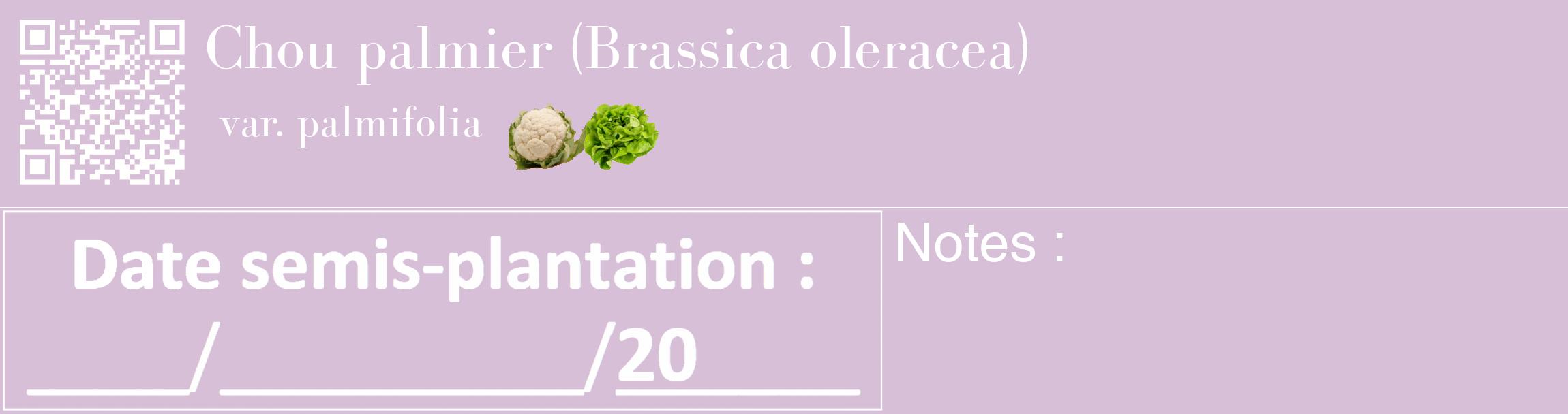Étiquette de : Brassica oleracea var. palmifolia - format c - style blanche54_basique_basiquebod avec qrcode et comestibilité simplifiée