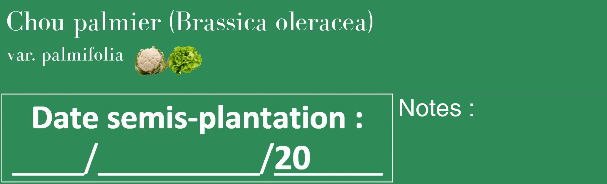 Étiquette de : Brassica oleracea var. palmifolia - format c - style blanche11_basique_basiquebod avec comestibilité simplifiée