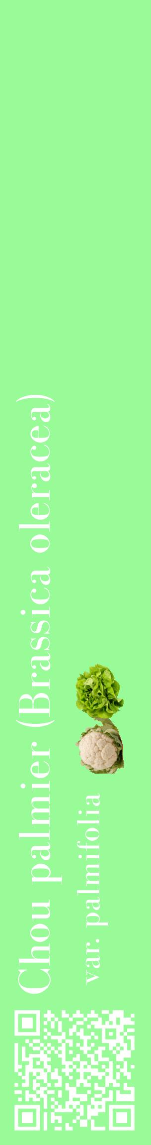 Étiquette de : Brassica oleracea var. palmifolia - format c - style blanche14_basiquebod avec qrcode et comestibilité simplifiée