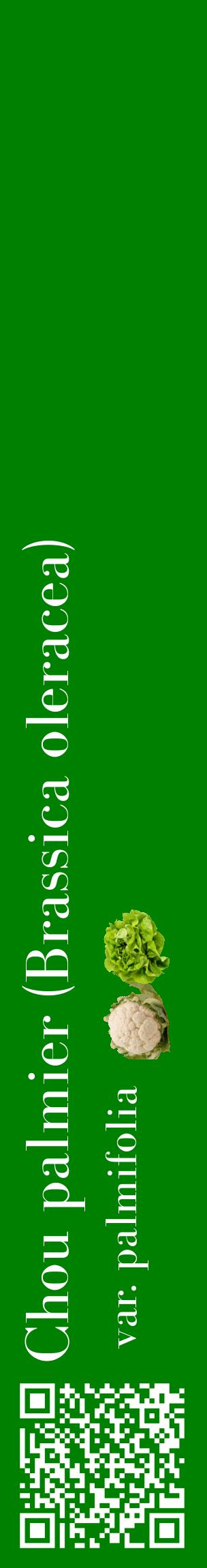 Étiquette de : Brassica oleracea var. palmifolia - format c - style blanche9_basiquebod avec qrcode et comestibilité simplifiée