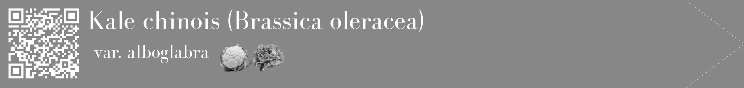 Étiquette de : Brassica oleracea var. alboglabra - format c - style blanche12_simple_simplebod avec qrcode et comestibilité simplifiée