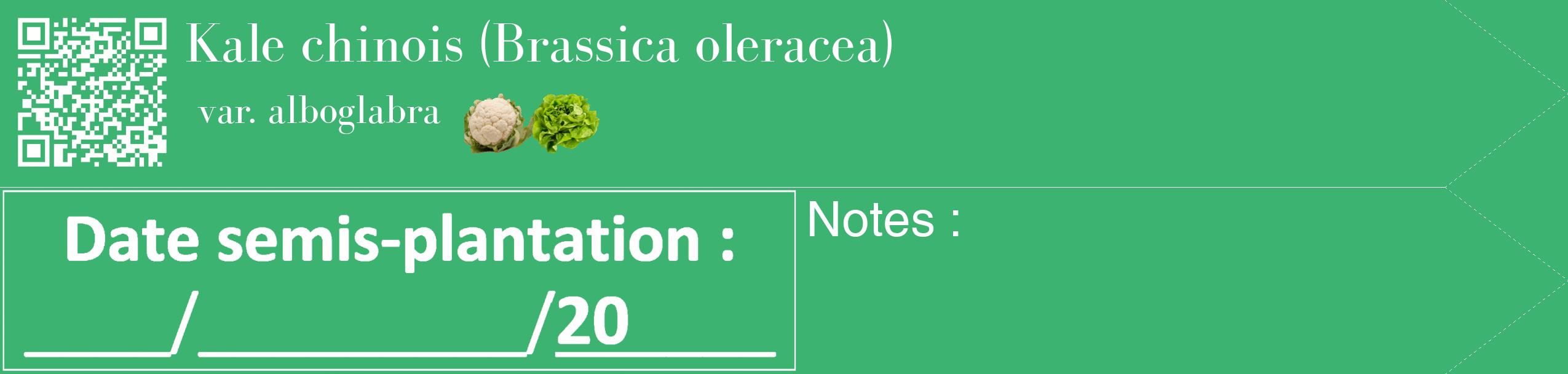 Étiquette de : Brassica oleracea var. alboglabra - format c - style blanche12_simple_simplebod avec qrcode et comestibilité simplifiée