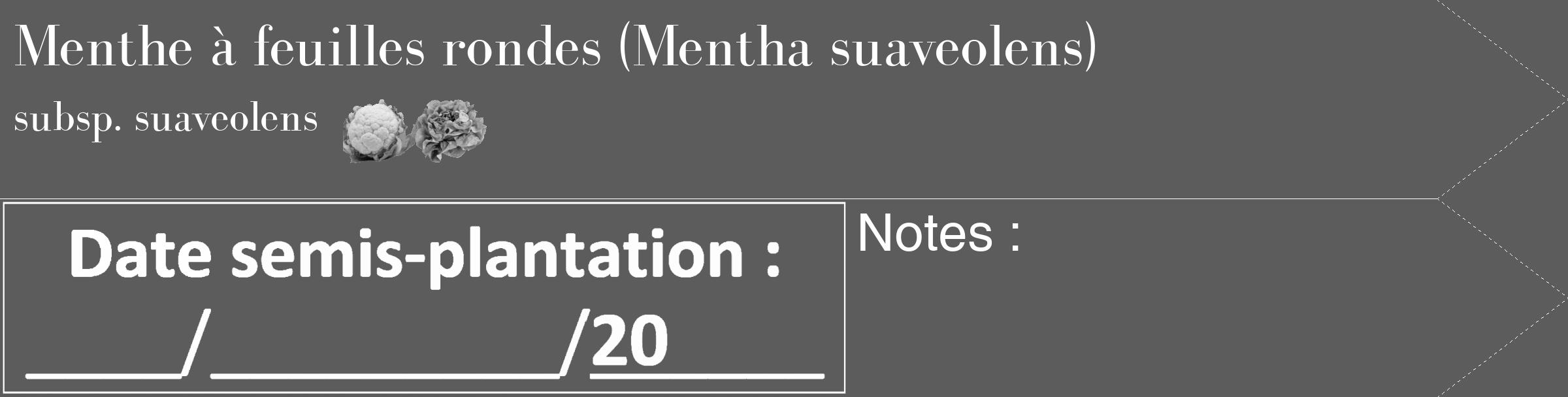 Étiquette de : Mentha suaveolens subsp. suaveolens - format c - style blanche49_simple_simplebod avec comestibilité simplifiée