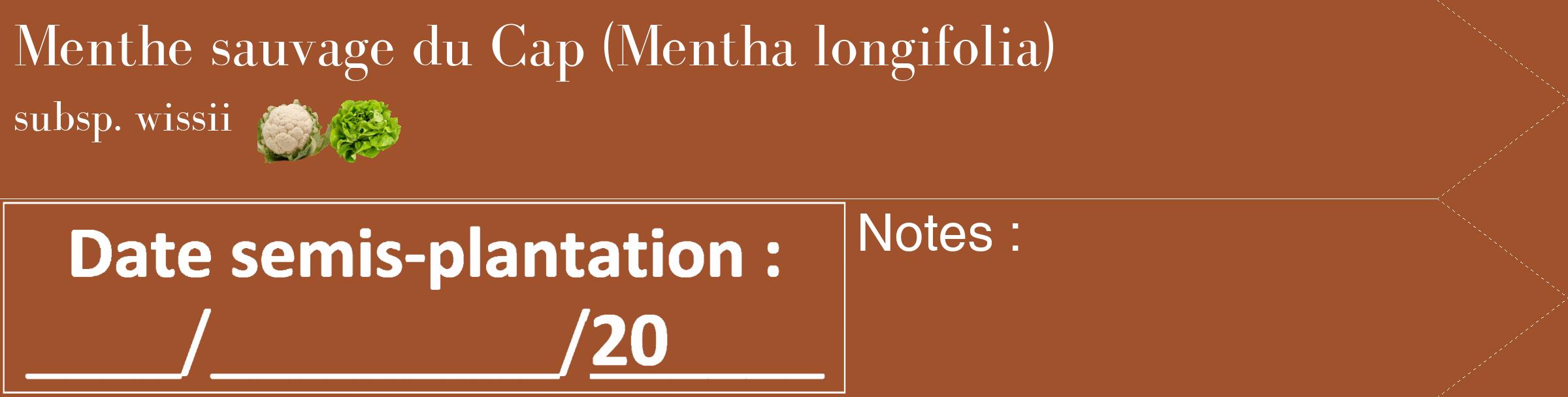 Étiquette de : Mentha longifolia subsp. wissii - format c - style blanche32_simple_simplebod avec comestibilité simplifiée