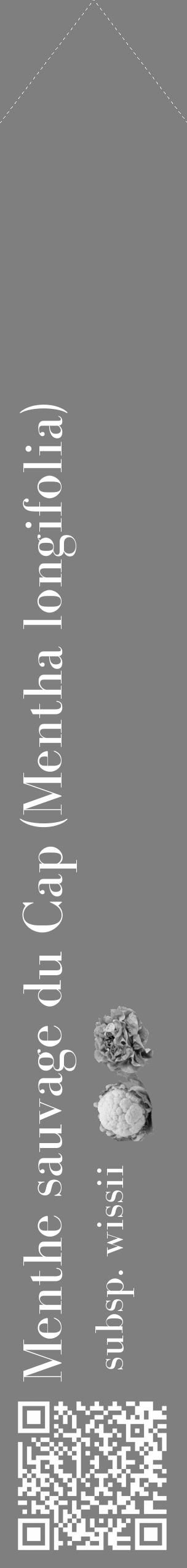 Étiquette de : Mentha longifolia subsp. wissii - format c - style blanche31_simple_simplebod avec qrcode et comestibilité simplifiée - position verticale