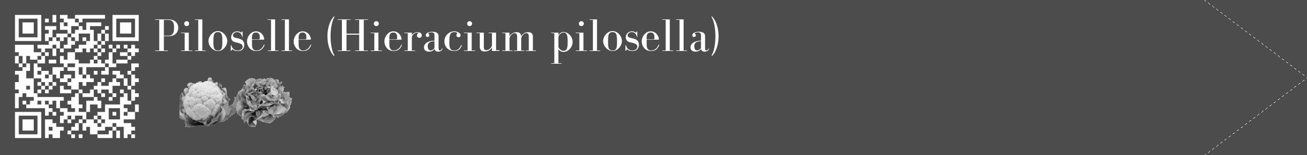 Étiquette de : Hieracium pilosella - format c - style blanche27_simple_simplebod avec qrcode et comestibilité simplifiée