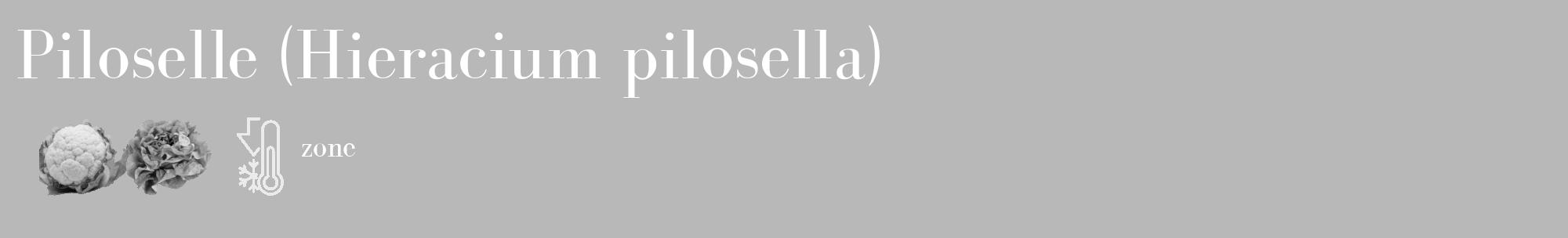 Étiquette de : Hieracium pilosella - format c - style blanche39_basique_basiquebod avec comestibilité simplifiée