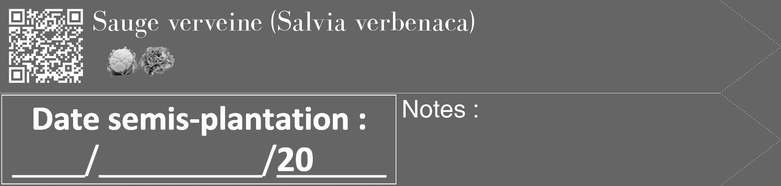Étiquette de : Salvia verbenaca - format c - style blanche32_simple_simplebod avec qrcode et comestibilité simplifiée