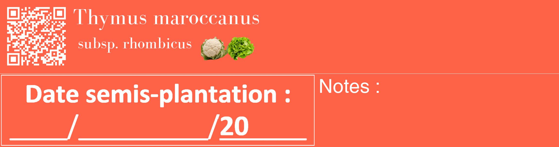 Étiquette de : Thymus maroccanus subsp. rhombicus - format c - style blanche25_basique_basiquebod avec qrcode et comestibilité simplifiée