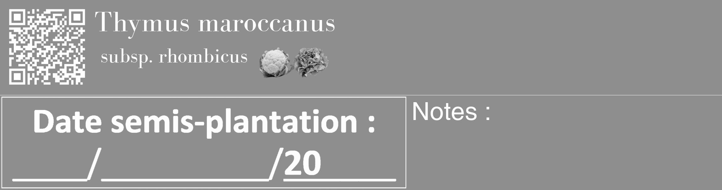 Étiquette de : Thymus maroccanus subsp. rhombicus - format c - style blanche25_basique_basiquebod avec qrcode et comestibilité simplifiée