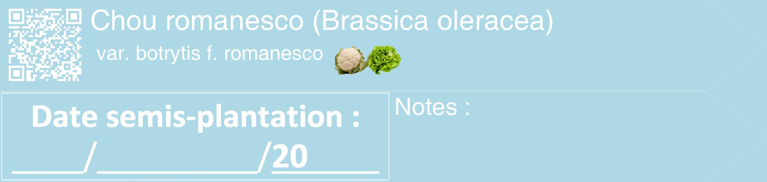 Étiquette de : Brassica oleracea var. botrytis f. romanesco - format c - style blanche0_simple_simplehel avec qrcode et comestibilité simplifiée