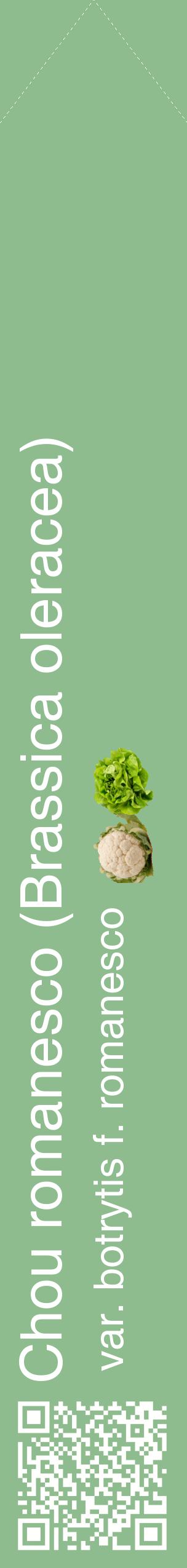 Étiquette de : Brassica oleracea var. botrytis f. romanesco - format c - style blanche13_simplehel avec qrcode et comestibilité simplifiée