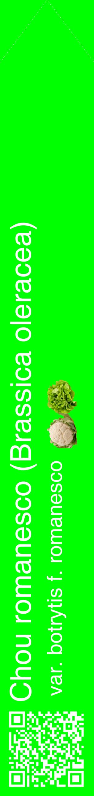 Étiquette de : Brassica oleracea var. botrytis f. romanesco - format c - style blanche16_simplehel avec qrcode et comestibilité simplifiée