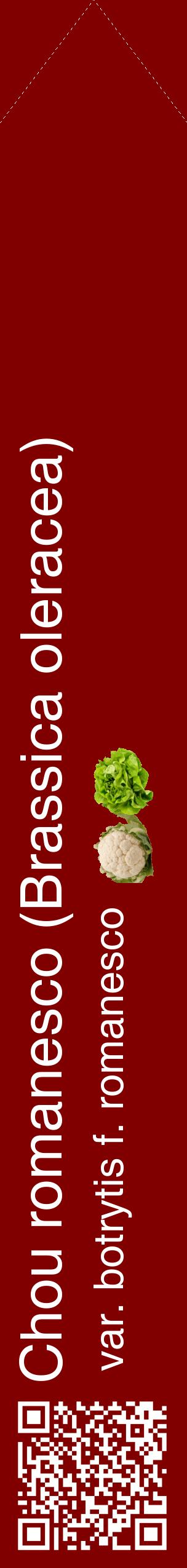 Étiquette de : Brassica oleracea var. botrytis f. romanesco - format c - style blanche29_simplehel avec qrcode et comestibilité simplifiée