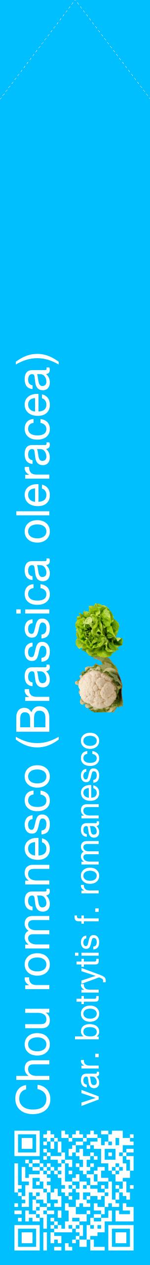 Étiquette de : Brassica oleracea var. botrytis f. romanesco - format c - style blanche2_simplehel avec qrcode et comestibilité simplifiée