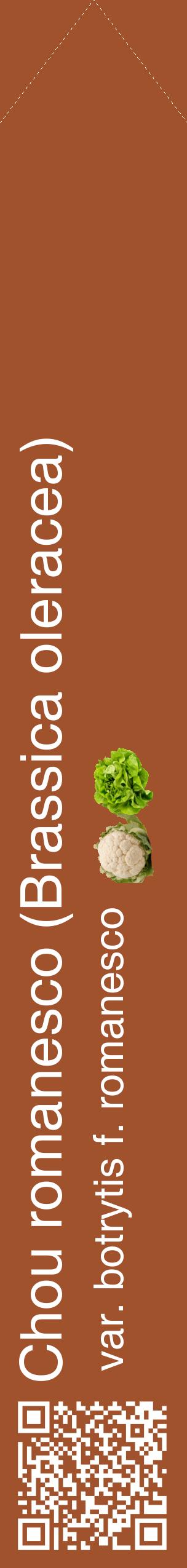 Étiquette de : Brassica oleracea var. botrytis f. romanesco - format c - style blanche32_simplehel avec qrcode et comestibilité simplifiée