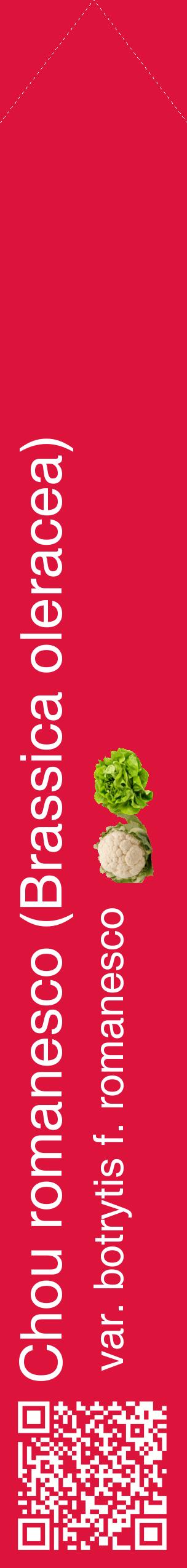 Étiquette de : Brassica oleracea var. botrytis f. romanesco - format c - style blanche36_simplehel avec qrcode et comestibilité simplifiée