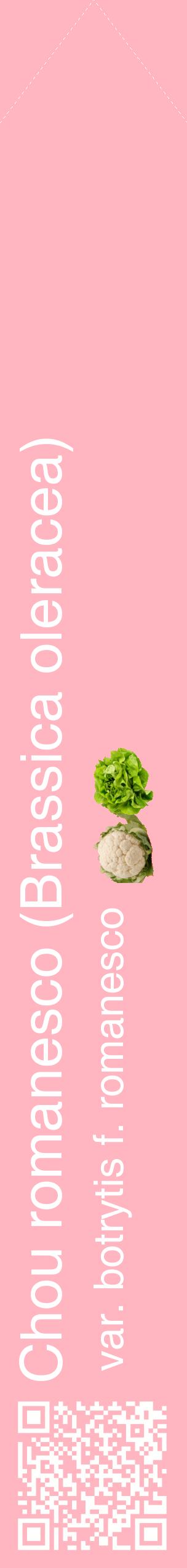Étiquette de : Brassica oleracea var. botrytis f. romanesco - format c - style blanche41_simplehel avec qrcode et comestibilité simplifiée