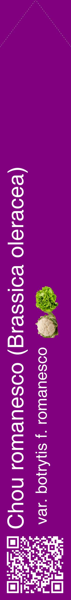 Étiquette de : Brassica oleracea var. botrytis f. romanesco - format c - style blanche46_simplehel avec qrcode et comestibilité simplifiée