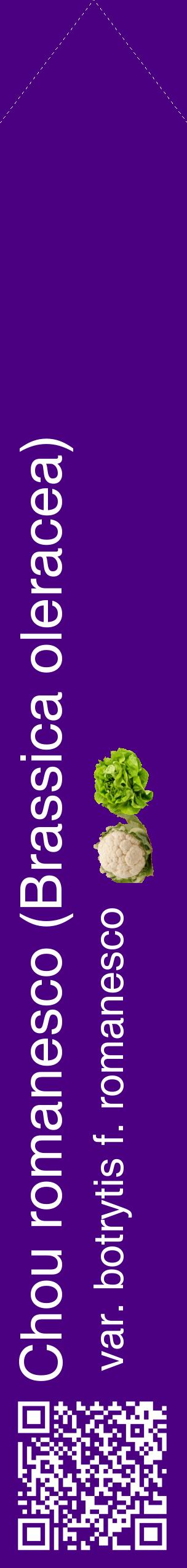 Étiquette de : Brassica oleracea var. botrytis f. romanesco - format c - style blanche47_simplehel avec qrcode et comestibilité simplifiée