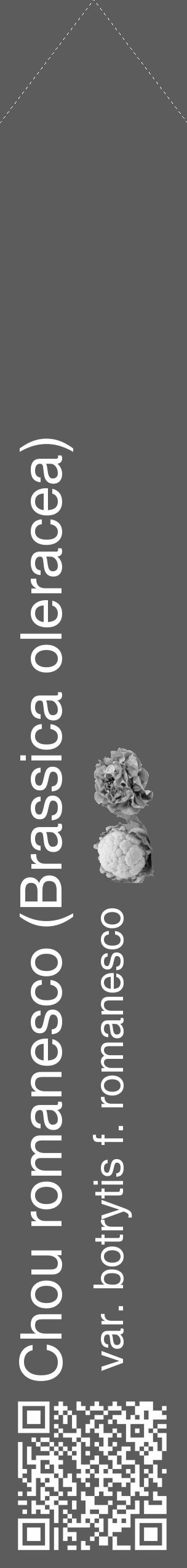 Étiquette de : Brassica oleracea var. botrytis f. romanesco - format c - style blanche49_simple_simplehel avec qrcode et comestibilité simplifiée - position verticale
