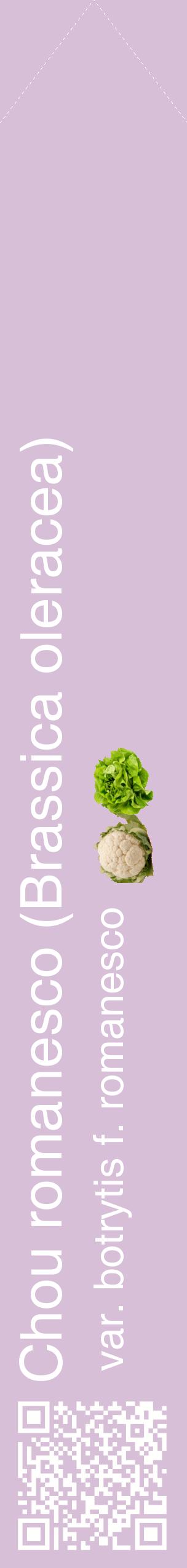 Étiquette de : Brassica oleracea var. botrytis f. romanesco - format c - style blanche54_simplehel avec qrcode et comestibilité simplifiée