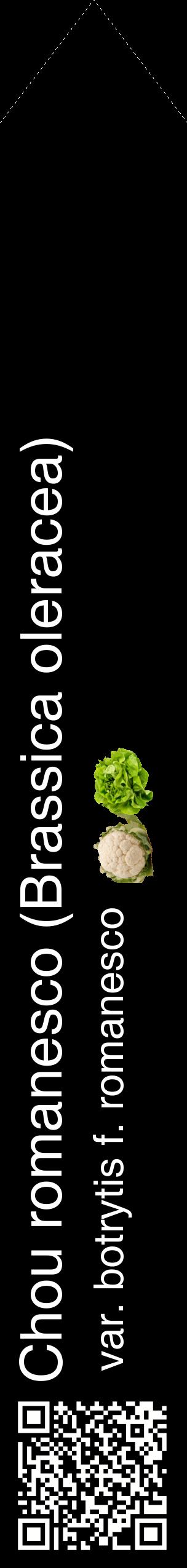 Étiquette de : Brassica oleracea var. botrytis f. romanesco - format c - style blanche59_simplehel avec qrcode et comestibilité simplifiée