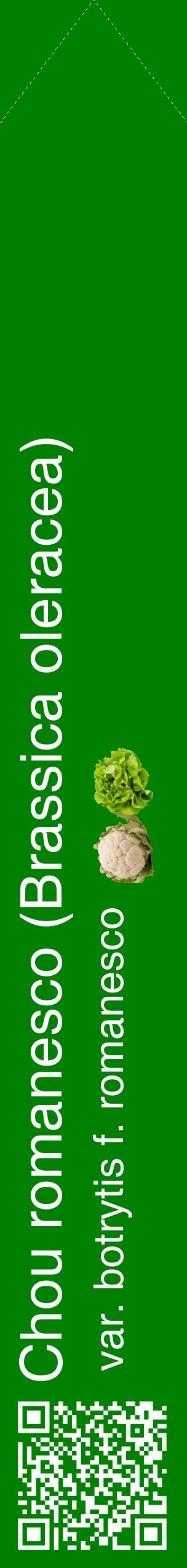 Étiquette de : Brassica oleracea var. botrytis f. romanesco - format c - style blanche9_simplehel avec qrcode et comestibilité simplifiée