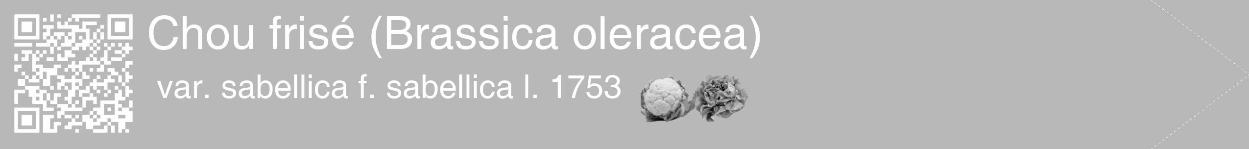 Étiquette de : Brassica oleracea var. sabellica f. sabellica l. 1753 - format c - style blanche39simple_simple_simplehel avec qrcode et comestibilité simplifiée