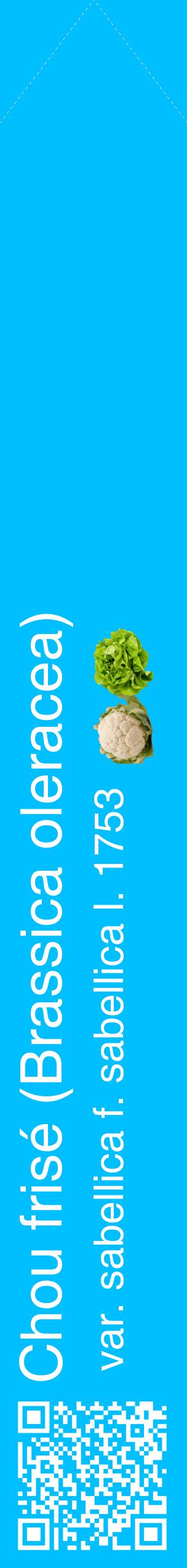 Étiquette de : Brassica oleracea var. sabellica f. sabellica l. 1753 - format c - style blanche2_simplehel avec qrcode et comestibilité simplifiée