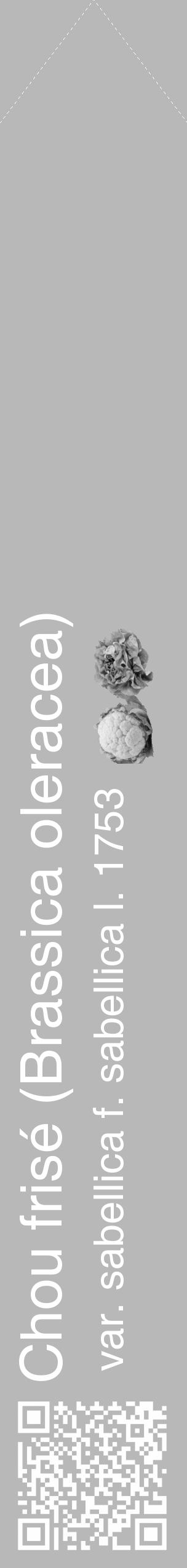 Étiquette de : Brassica oleracea var. sabellica f. sabellica l. 1753 - format c - style blanche39simple_simple_simplehel avec qrcode et comestibilité simplifiée - position verticale