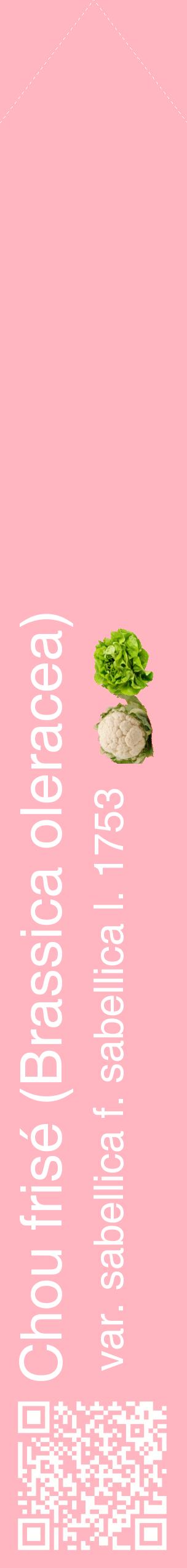 Étiquette de : Brassica oleracea var. sabellica f. sabellica l. 1753 - format c - style blanche41_simplehel avec qrcode et comestibilité simplifiée