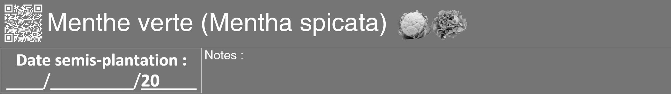 Étiquette de : Mentha spicata - format a - style blanche5hel avec qrcode et comestibilité simplifiée