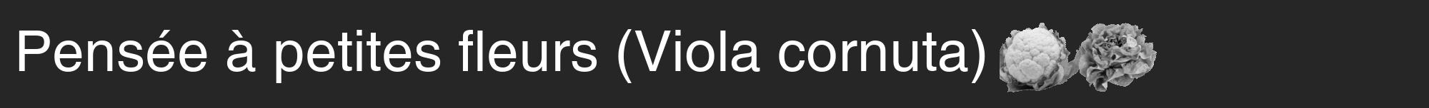 Étiquette de : Viola cornuta - format a - style blanche29hel avec comestibilité simplifiée