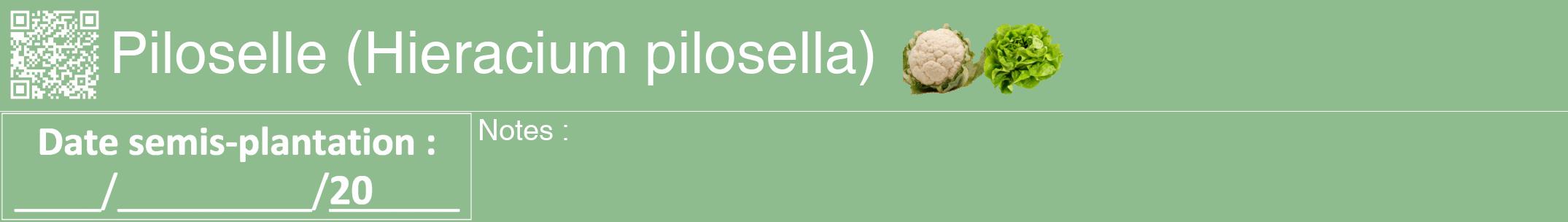 Étiquette de : Hieracium pilosella - format a - style blanche13hel avec qrcode et comestibilité simplifiée