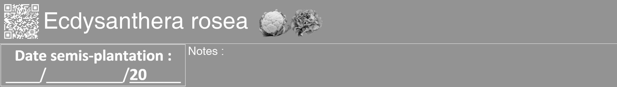 Étiquette de : Ecdysanthera rosea - format a - style blanche44hel avec qrcode et comestibilité simplifiée