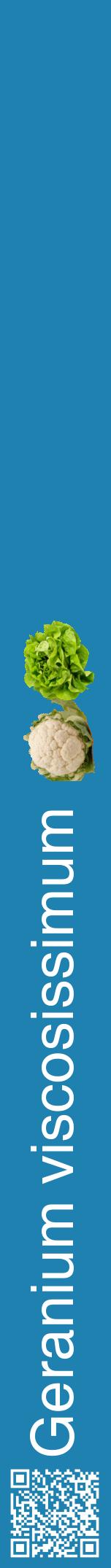 Étiquette de : Geranium viscosissimum - format a - style blanche6hel avec qrcode et comestibilité simplifiée