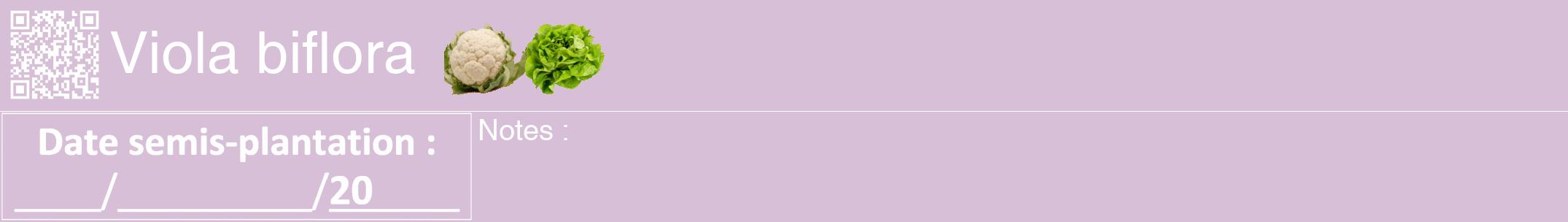 Étiquette de : Viola biflora - format a - style blanche54hel avec qrcode et comestibilité simplifiée