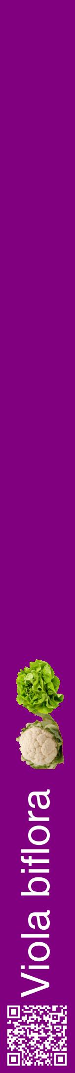 Étiquette de : Viola biflora - format a - style blanche46hel avec qrcode et comestibilité simplifiée