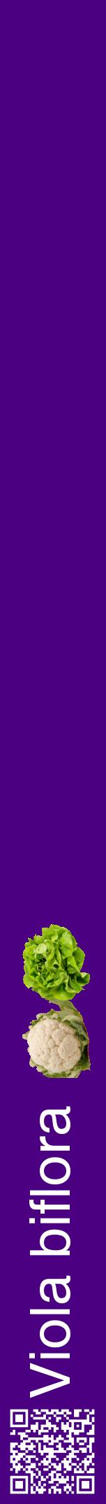 Étiquette de : Viola biflora - format a - style blanche47hel avec qrcode et comestibilité simplifiée