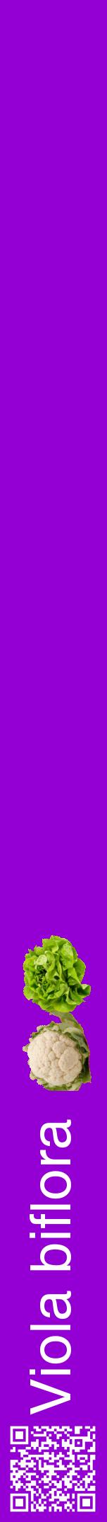 Étiquette de : Viola biflora - format a - style blanche48hel avec qrcode et comestibilité simplifiée